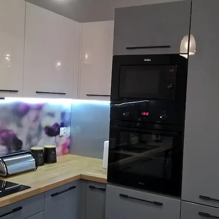 Skandynawski Premium דירה *