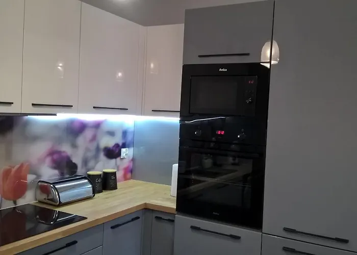 Skandynawski Premium Апартаменты *