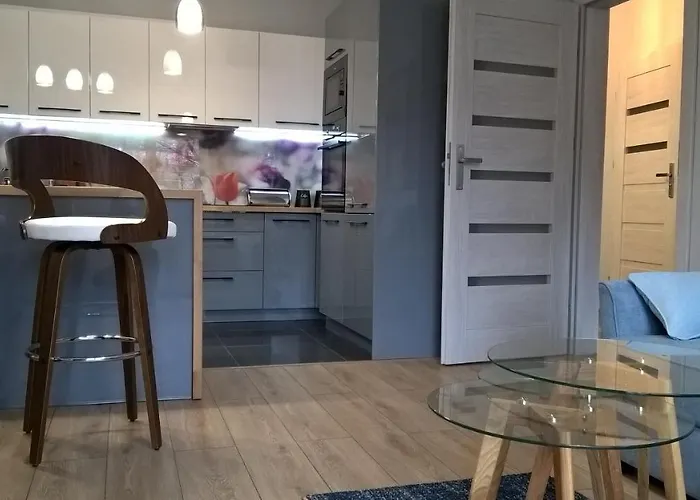 Апартаменты Skandynawski Premium Щецин